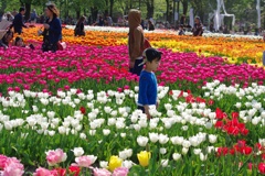 雰囲気だけでも