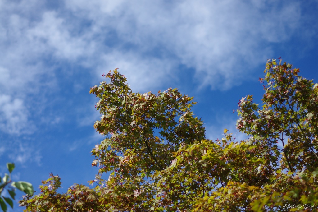 8月の空