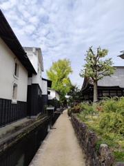 色付きが無い 色付きが無い