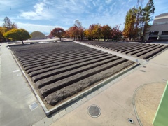 春を待つ大花壇