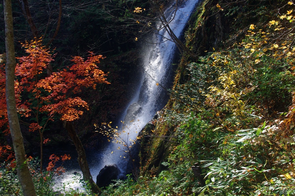 宇津江四十八滝