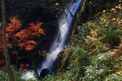 宇津江四十八滝