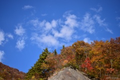 秋色に色付く山