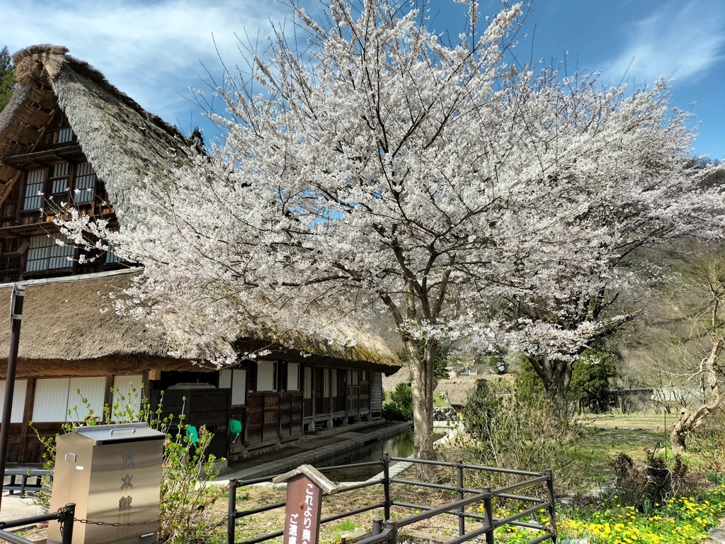 菅沼合掌集落の春の風景　１年前の風景