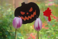 チューリップ四季彩館のハロウィン