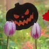 チューリップ四季彩館のハロウィン