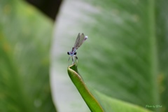 ご対面ヽ(^o^)丿