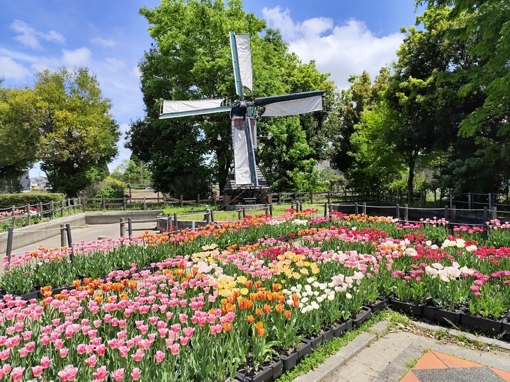 オランダ風景