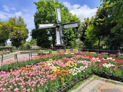 オランダ風景