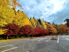 紅葉並木