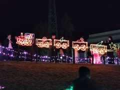 イルミネーション④