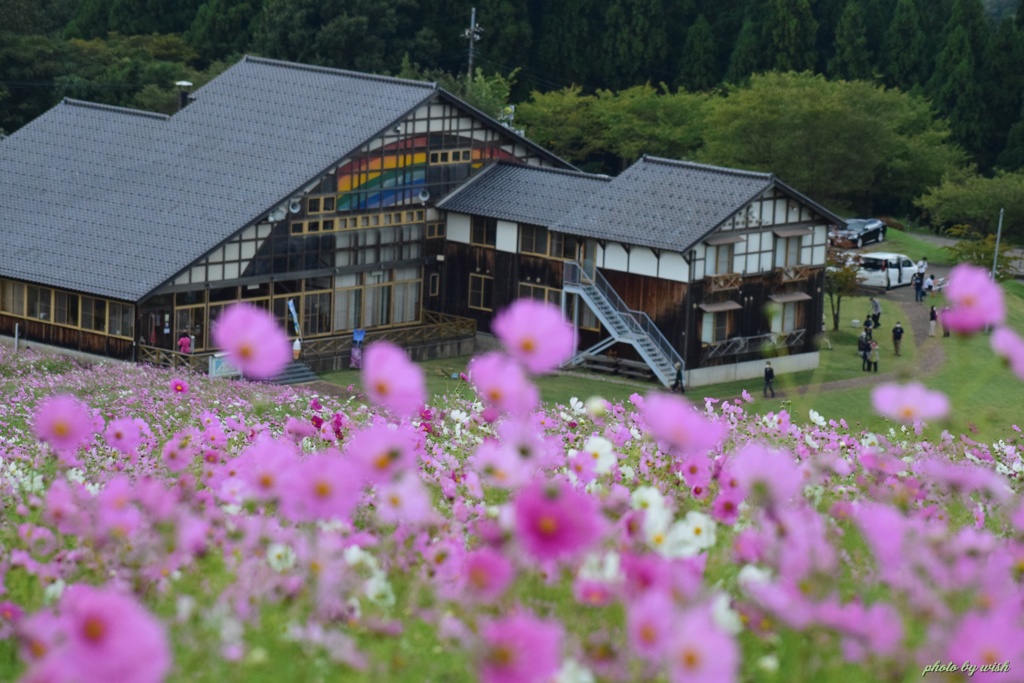 丘の上から