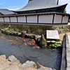 瀬戸川