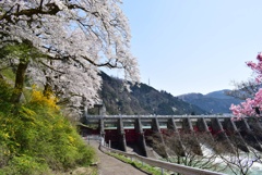 春の風景：船戸ダム