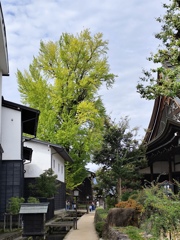 瀬戸川沿いの風景