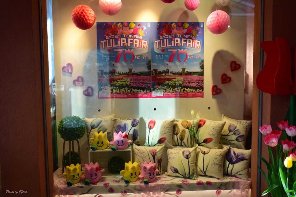 show　window
