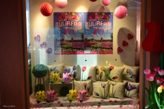 show　window