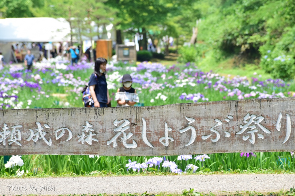 頼成の森　花しょうぶ祭り