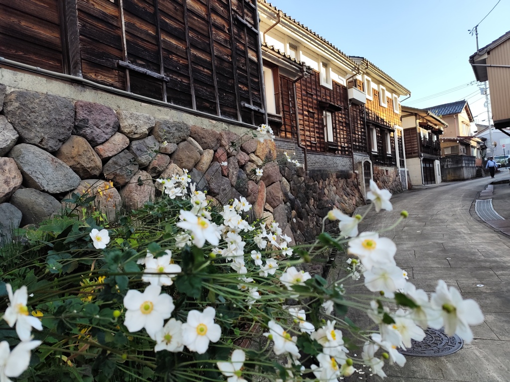 土蔵に花開く