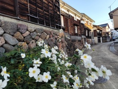 土蔵に花開く
