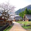 合掌集落にも桜咲く