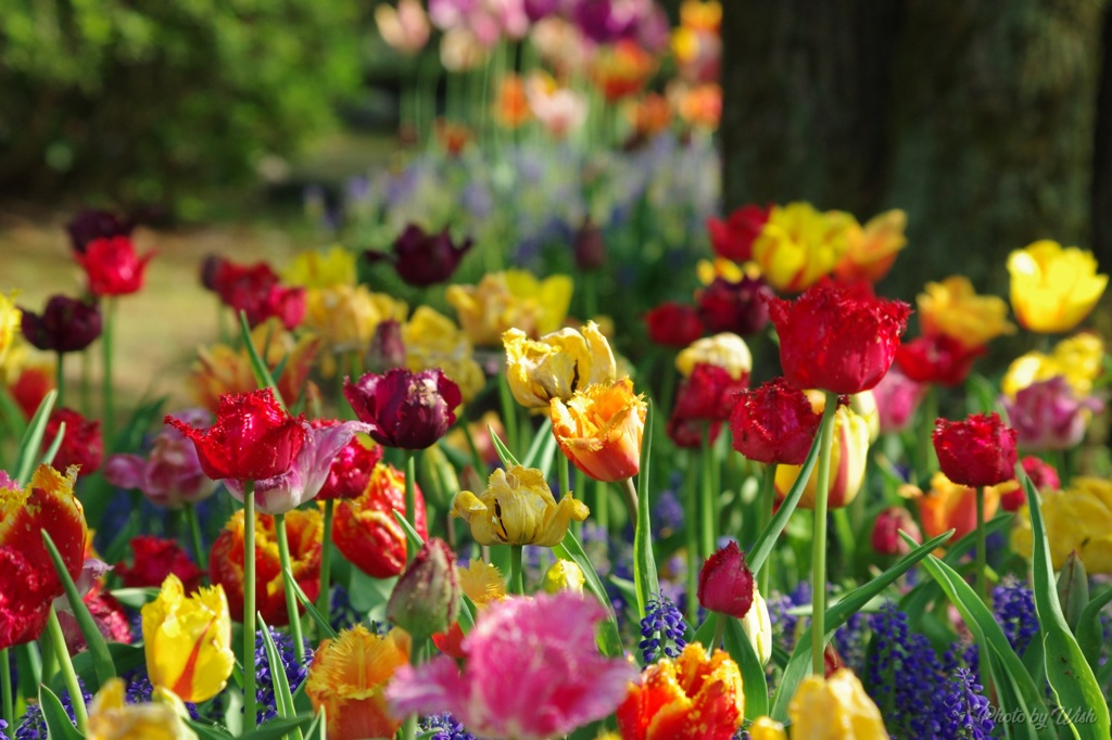 雰囲気だけでも