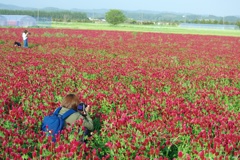 撮影に夢中な人々(^o^)丿
