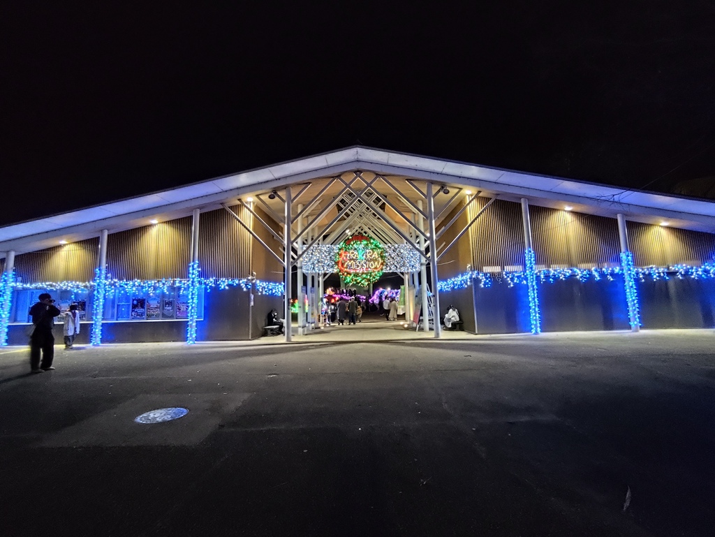 イルミネーション