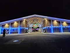 イルミネーション