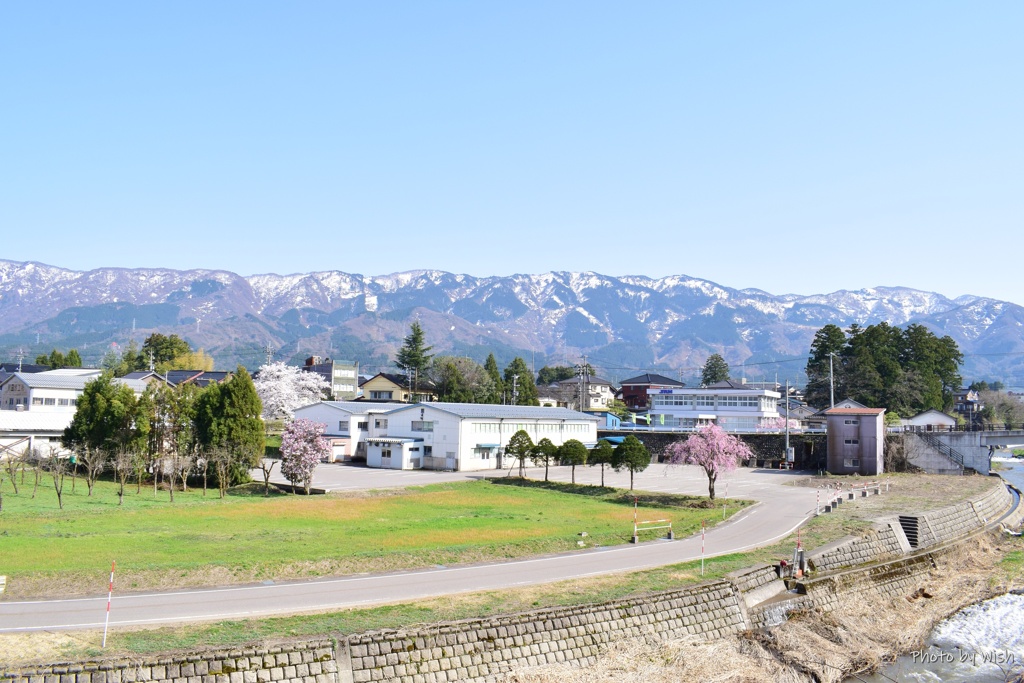 のどかな春の風景