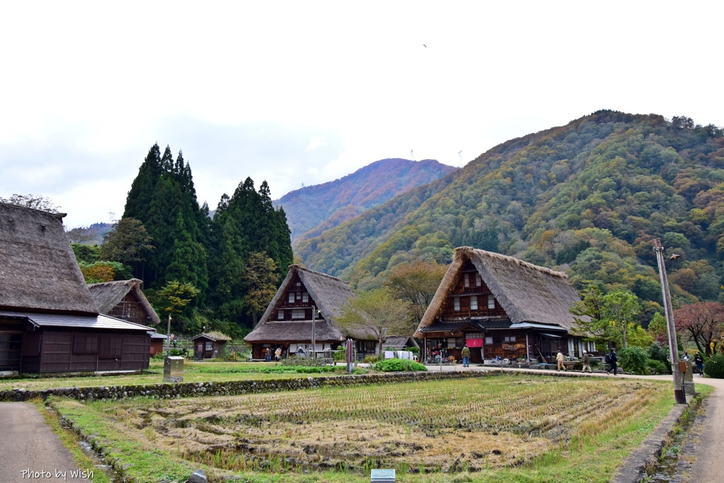 秋色に染まりつつある