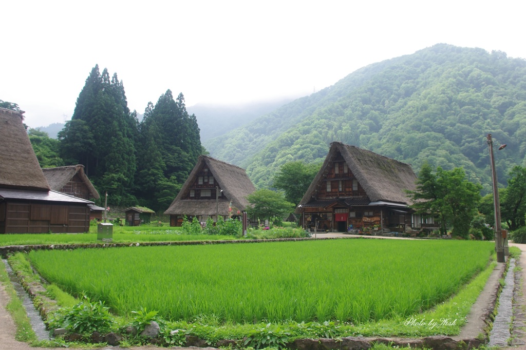 7月の菅沼集落