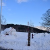 どんぐり広場