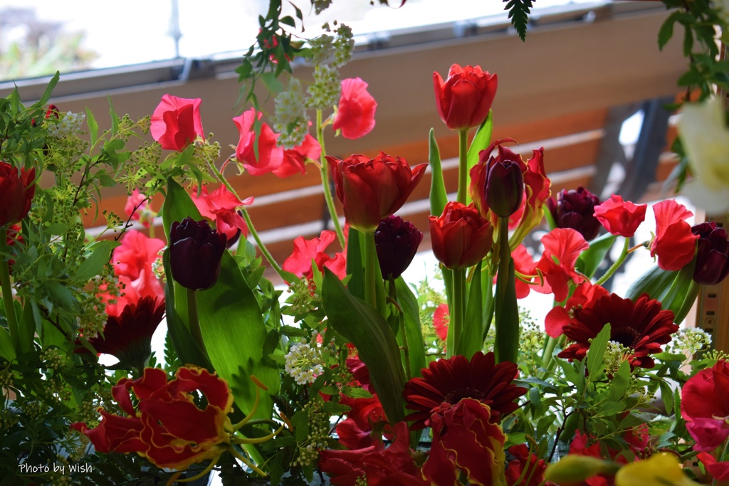 春の紅色の花達