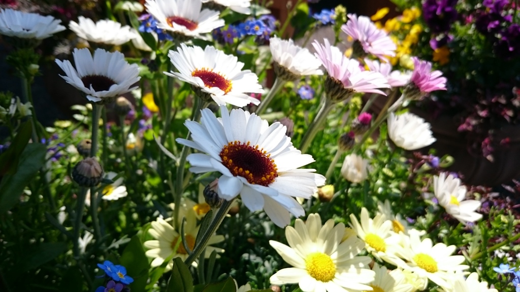 春の陽射しを浴びて③