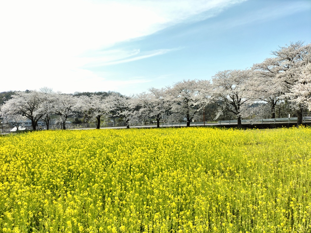 春の風景