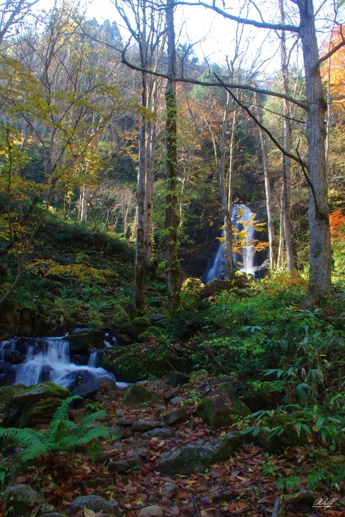 宇津江四十八滝