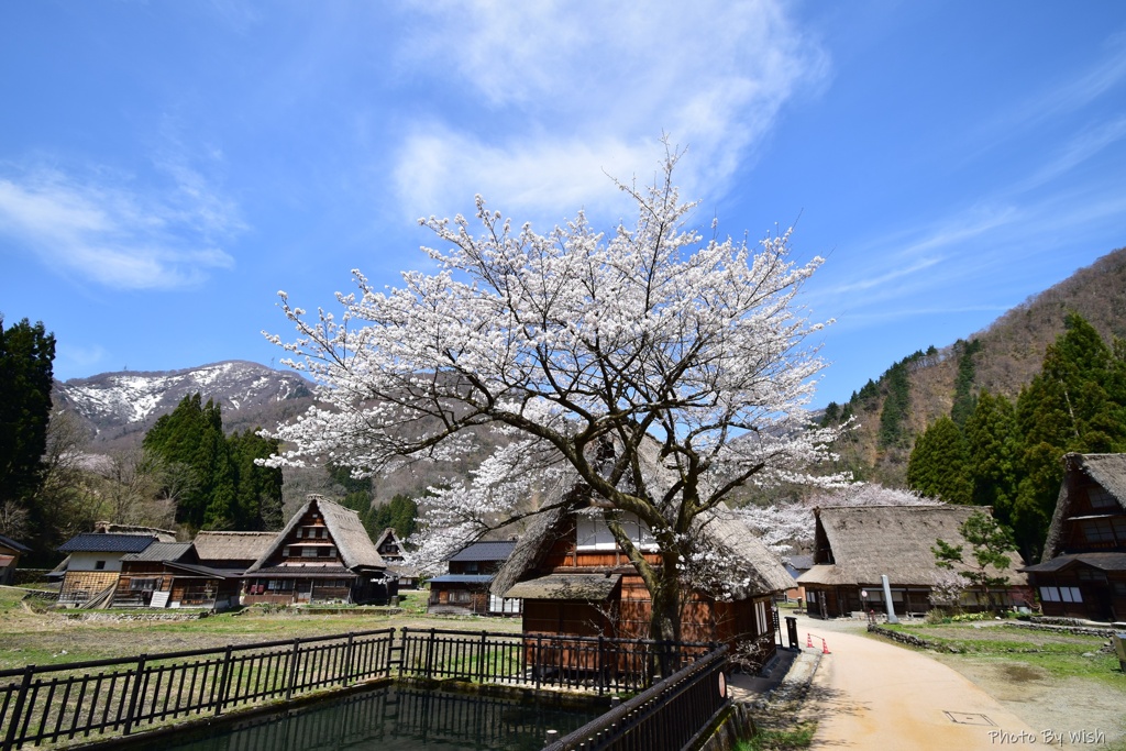 春日和の風景