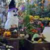 ハロウィン模様