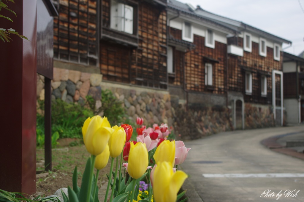 4月の城端