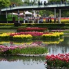 水上花壇