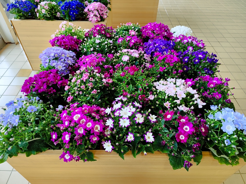 花模様