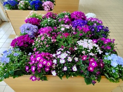 花模様