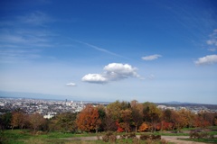 11月26日の秋空