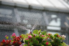 暑さをぶっ飛ばせ！