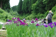 頼成の森