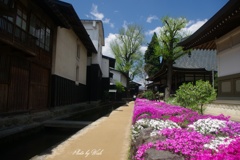 飛騨古川の春景色