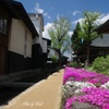 飛騨古川の春景色