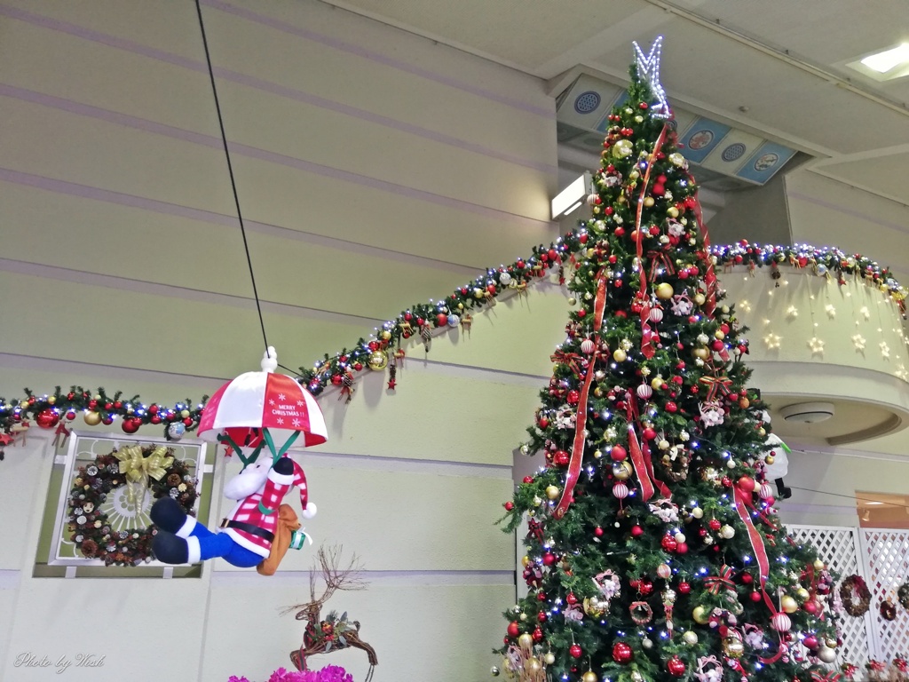 クリスマスツリー