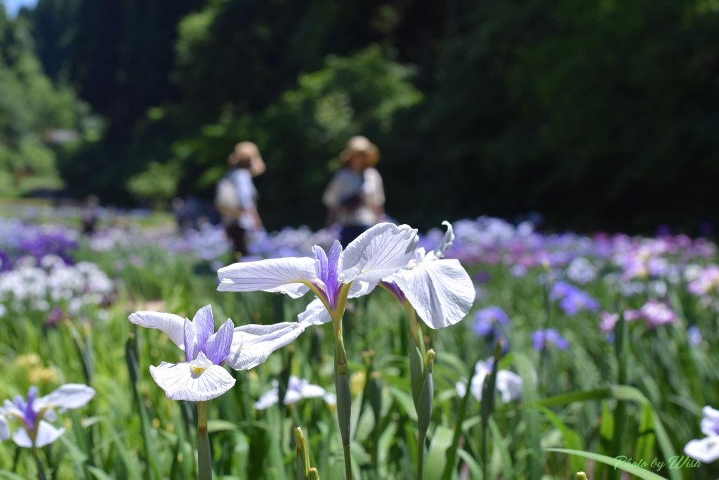 頼成の森